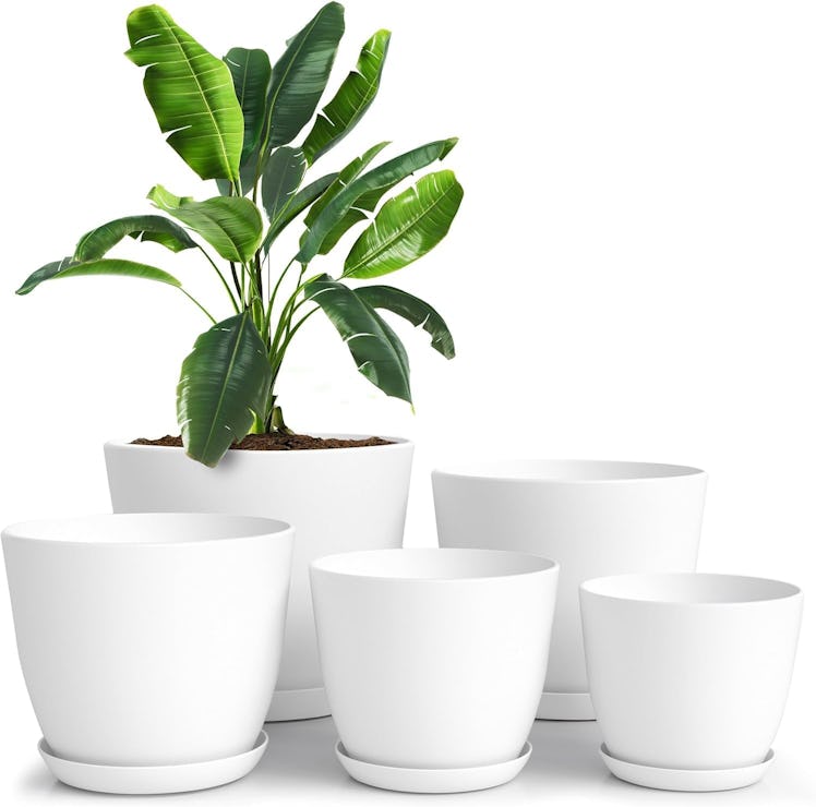 Utopia Self Watering Plant Pots (5-Pack)