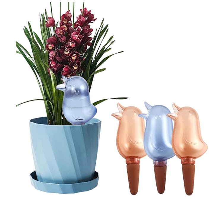 KIROYAL Self Watering Spikes (4-Pack)