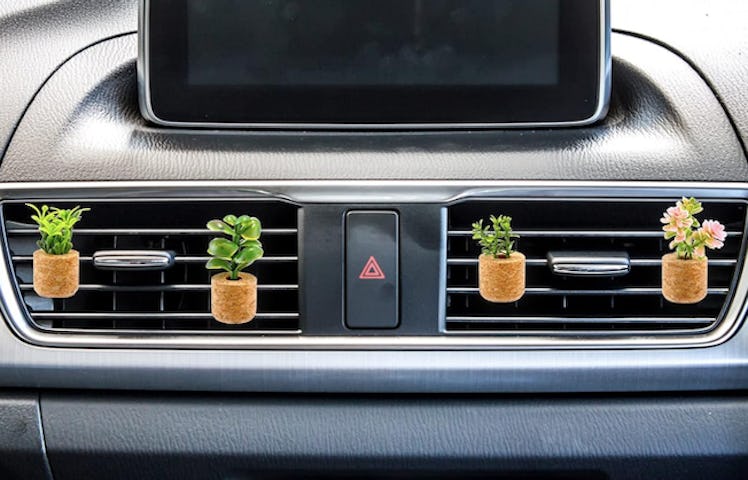 BBTO Car Vent Succulents (6-Pack)