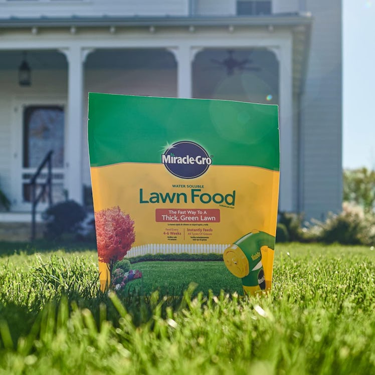 Miracle-Gro Water Soluble Lawn Food