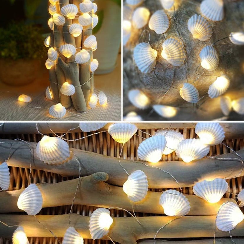  Starryfill Seashell LED String Lights