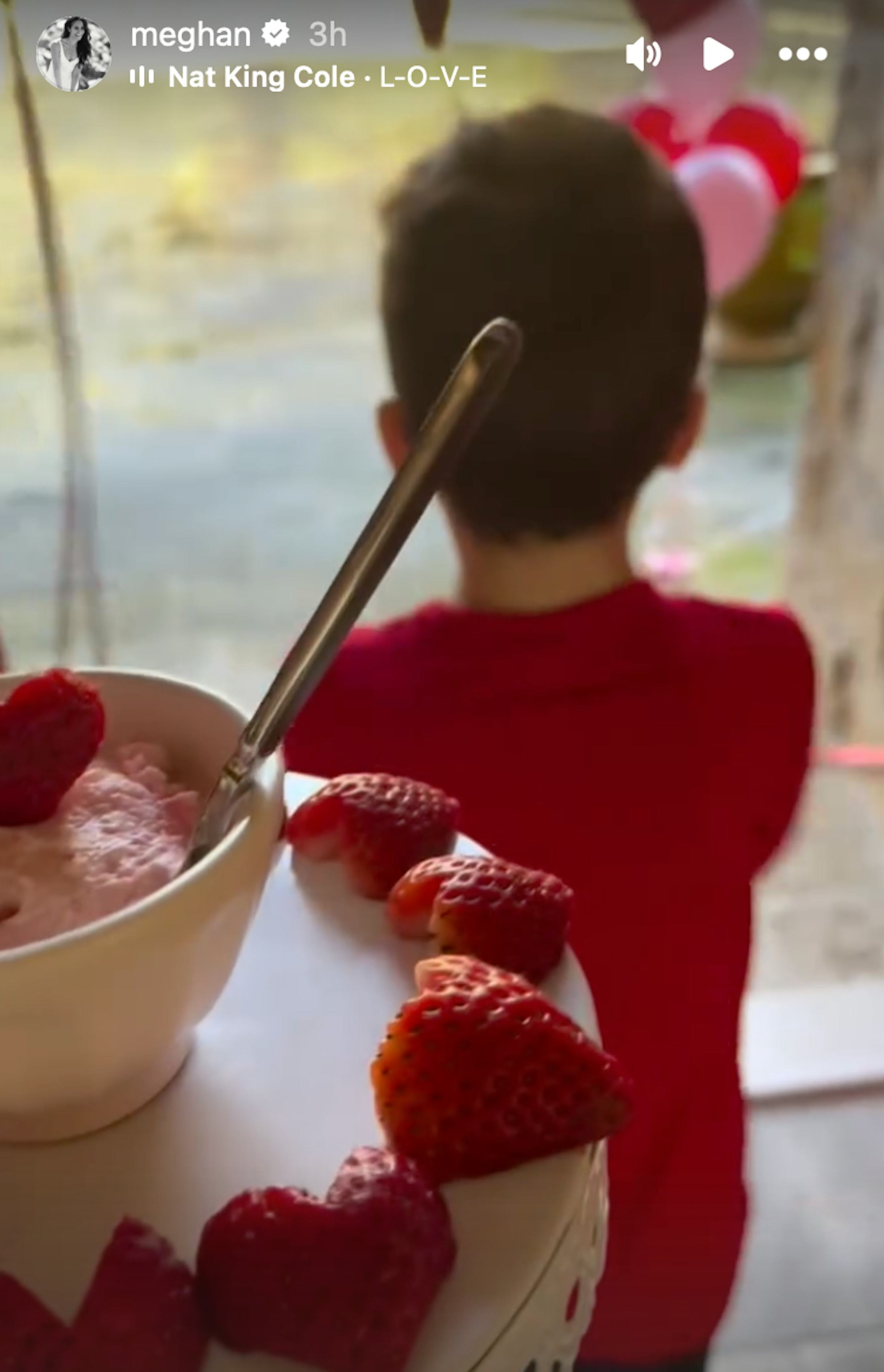 Meghan Markle Shares New Glimpse Of Archie & Lilibet
