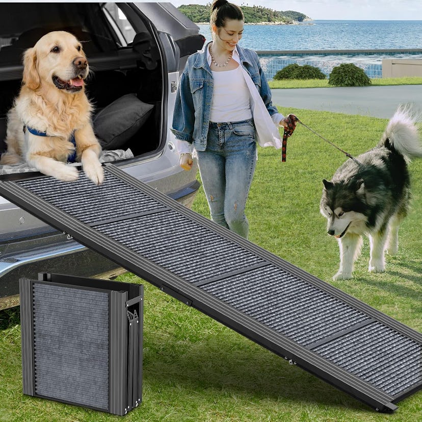 Dog Ramp for Car