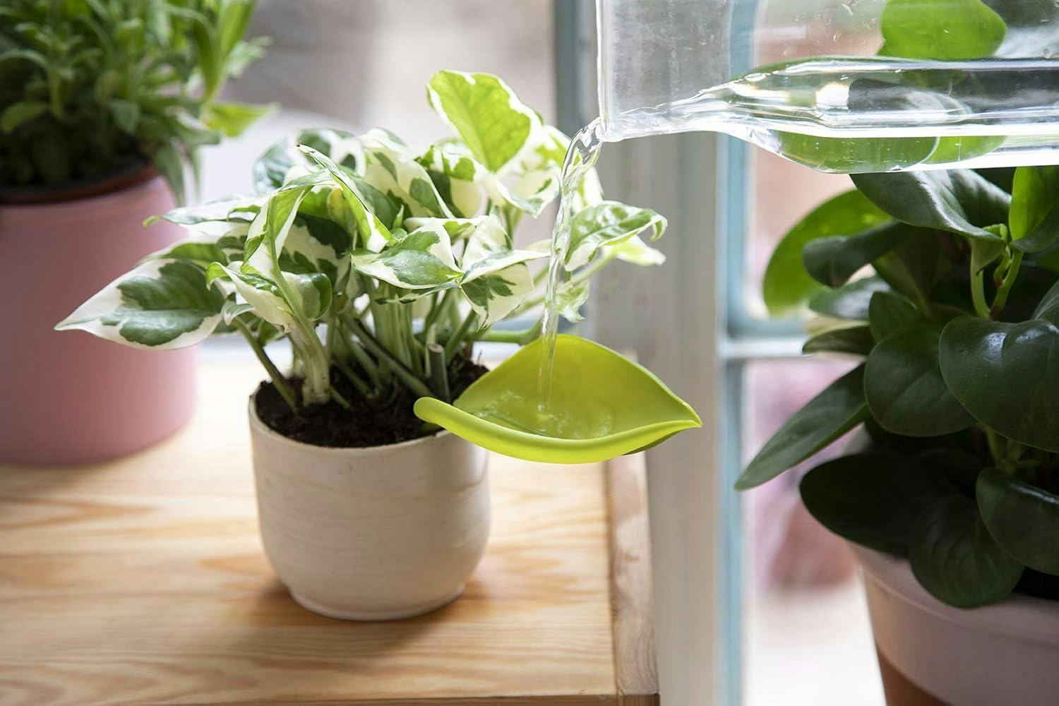 PELEG DESIGN Leaflow Pot Watering Funnels (3-Pieces)