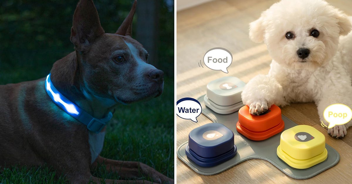 45 Weird, Clever Things For Your Dog That Are Legitimately Amazing