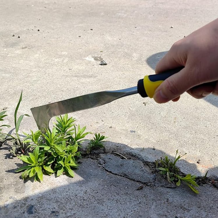 SWANSOFT Crack Weeder