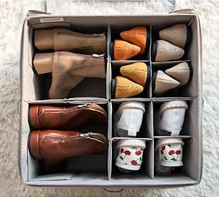 StorageWorks Shoe Organizer 