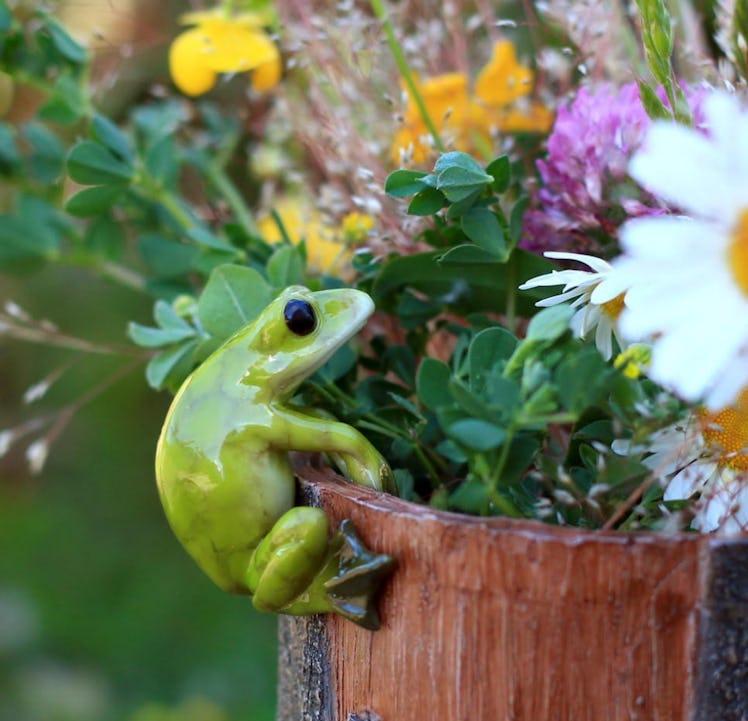 Top Collection Frog Flower Pot Hugger 