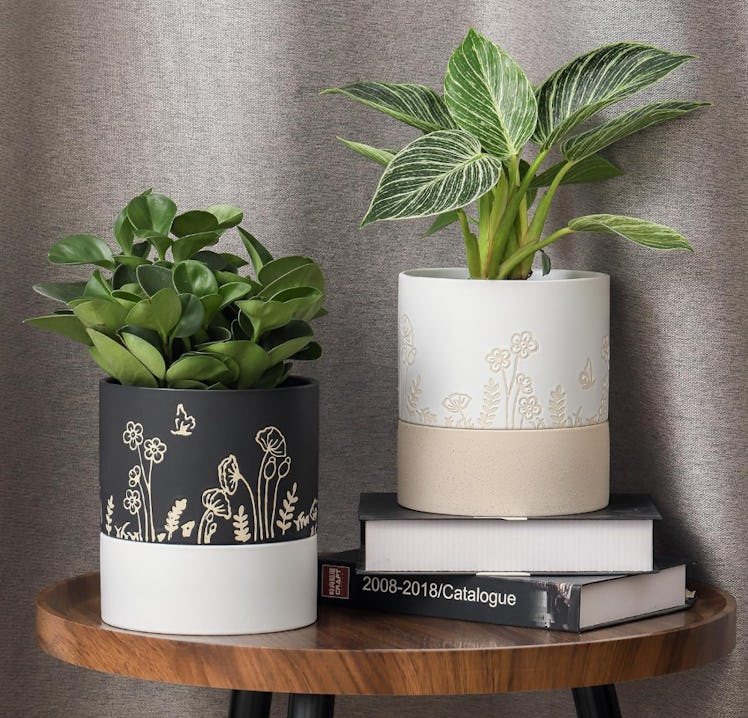 Nihow Self Watering Plant Pot