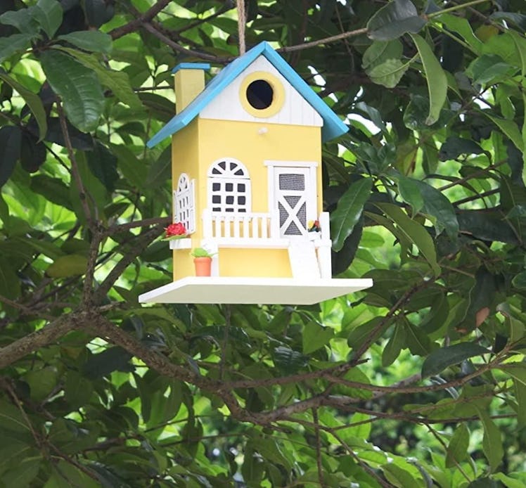 CARTMAN Hanging Colourful Birdhouse