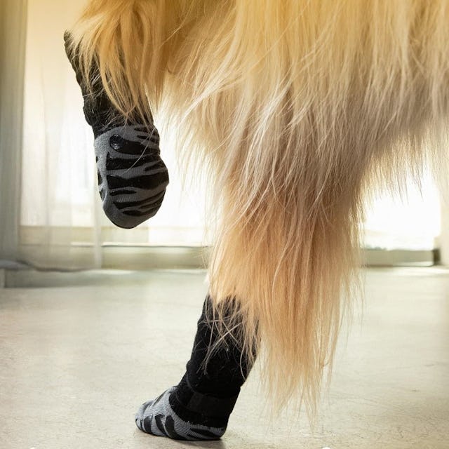 Non-Slip Dog Socks