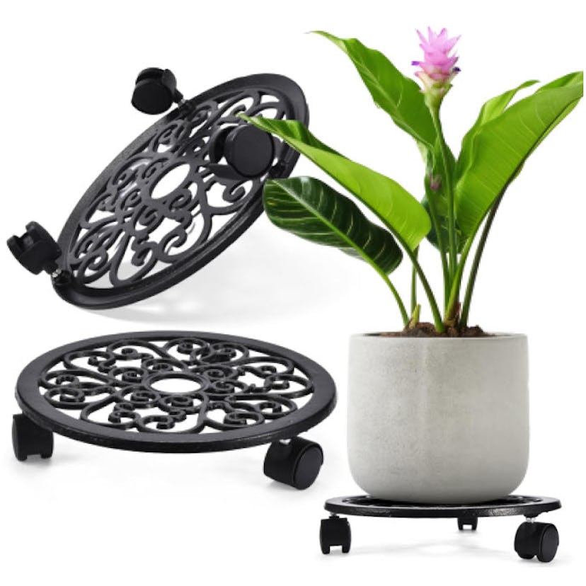 2WAYZ Plant Stand with Wheels