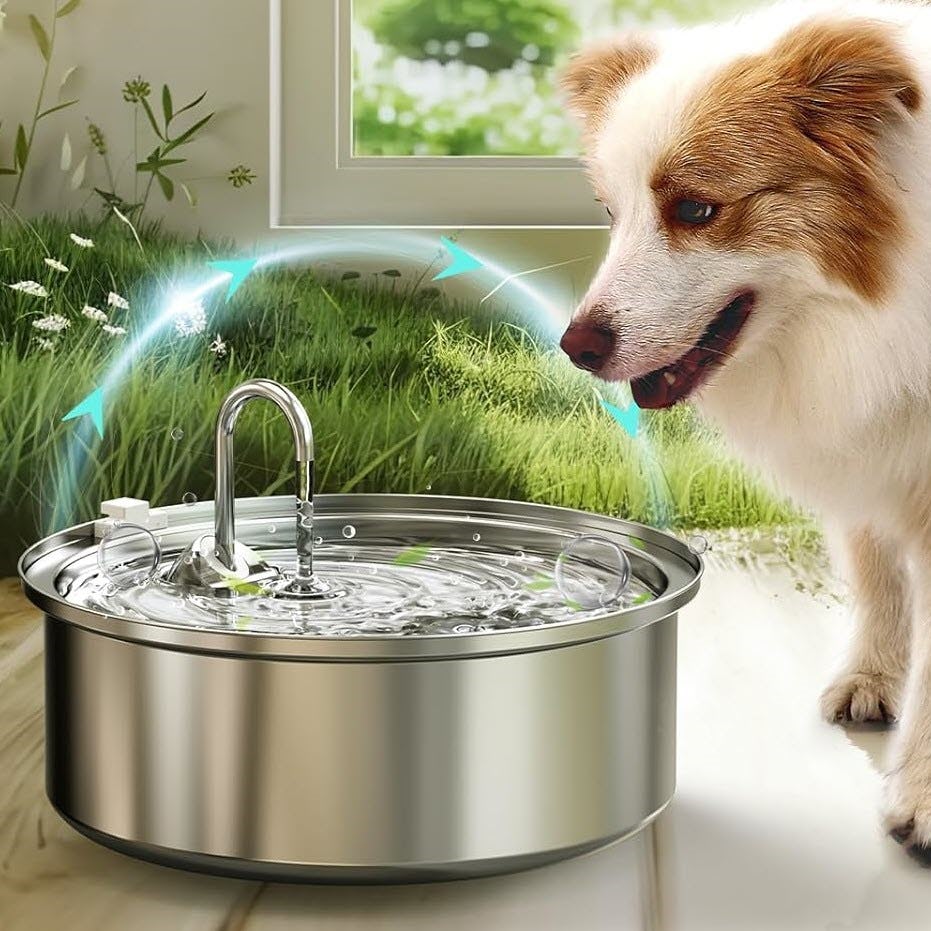 Dog Water Fountain