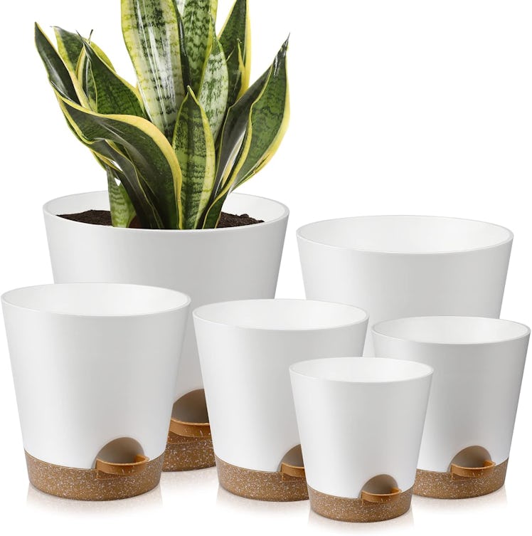 YNNICO Indoor Self Watering Planters (Set Of 6)