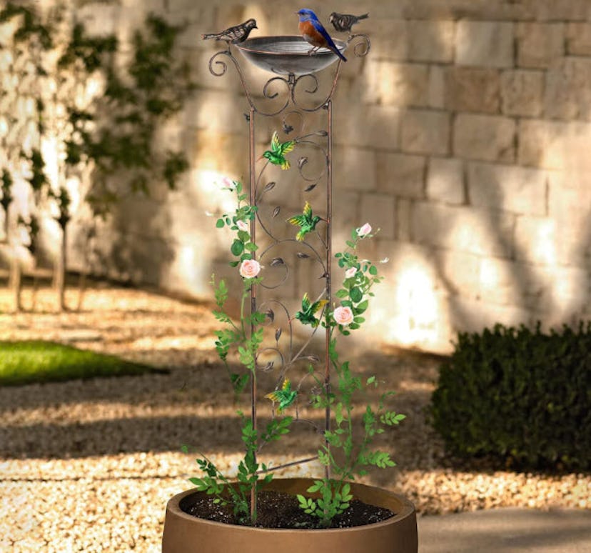 SUNNYPARK Antique Garden Iron Trellis Bird Bath