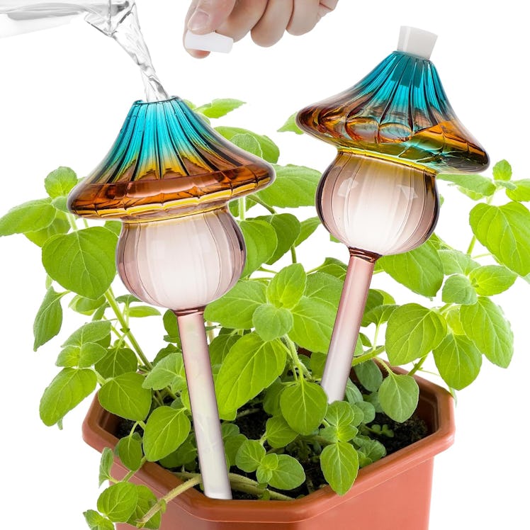 Kaimfdg Plant Watering Globes (2-Pack)