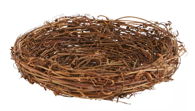 8" Bird Nest by Ashland®