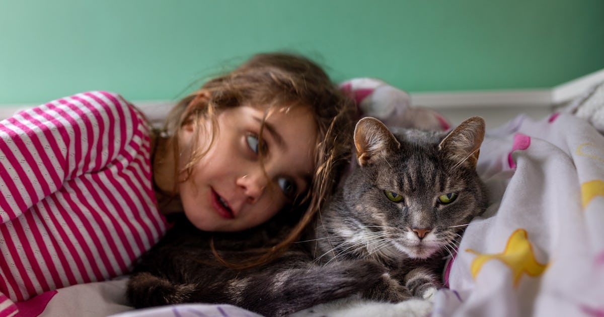 Confession: I Love Our Ancient Cat, But I'll Be Relieved When She Dies