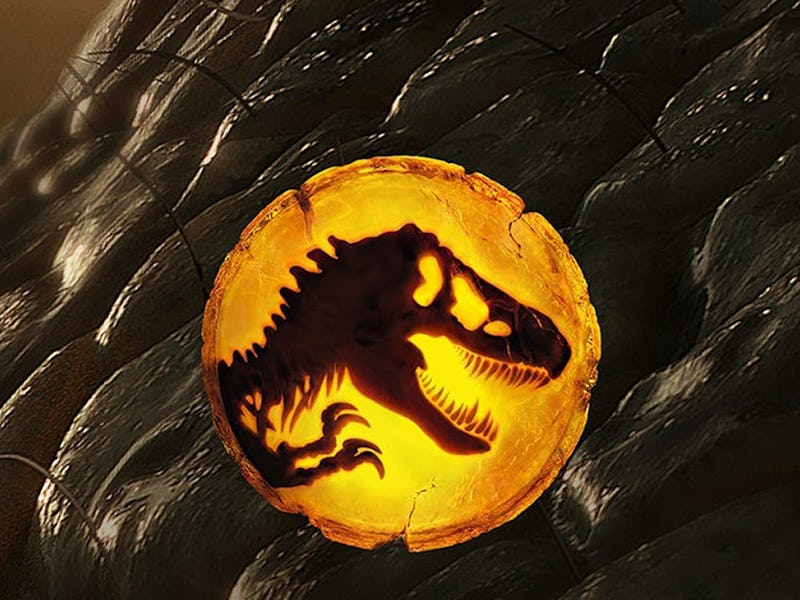 A circular logo featuring a black silhouette of a dinosaur's head within a glowing amber background,...