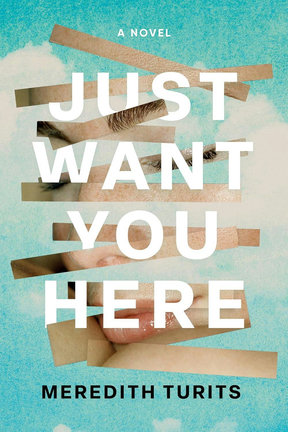 &lsquo;Just Want You Here&rsquo; by Meredith Turits