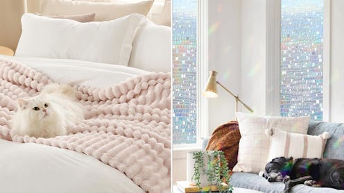 55 Dope Things Under $20 For Your Home You'll Get So Many Compliments On