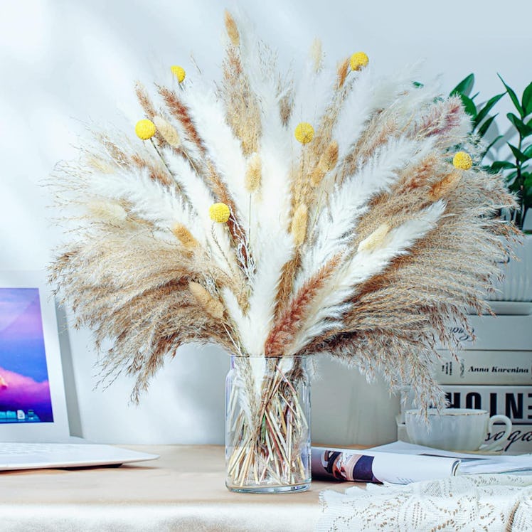 Secatoho Natural Dried Pampas Grass Decor