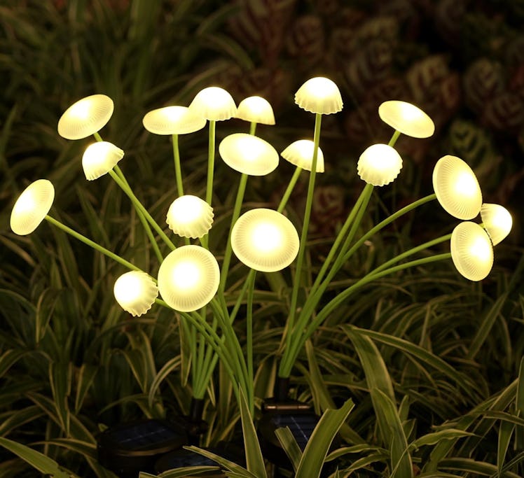 Rieyue Solar Garden Lights (2-Pack)