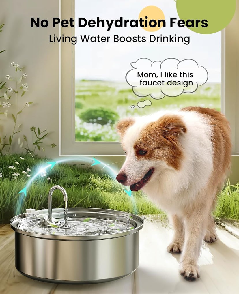 Oneisall Dog Water Fountain for Large Dogs