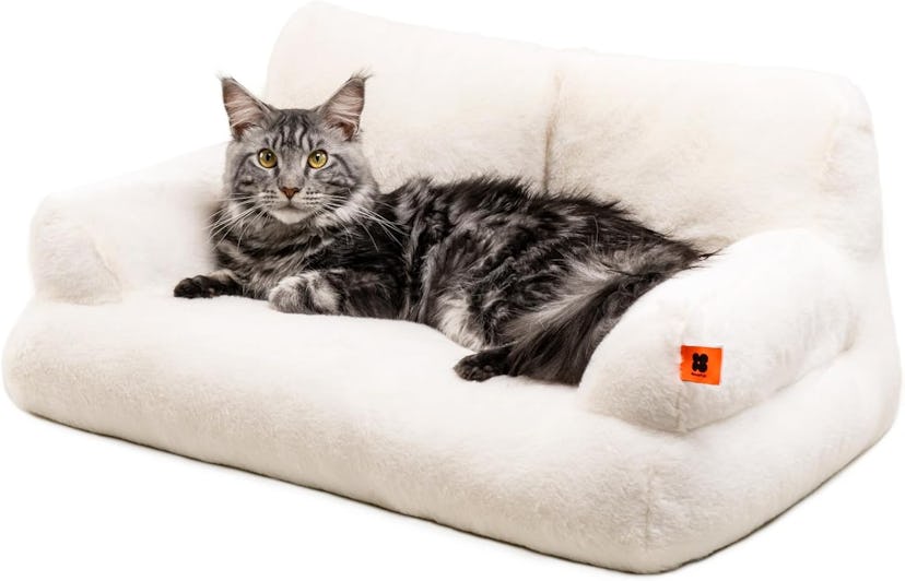 MEWOOFUN Cat Couch
