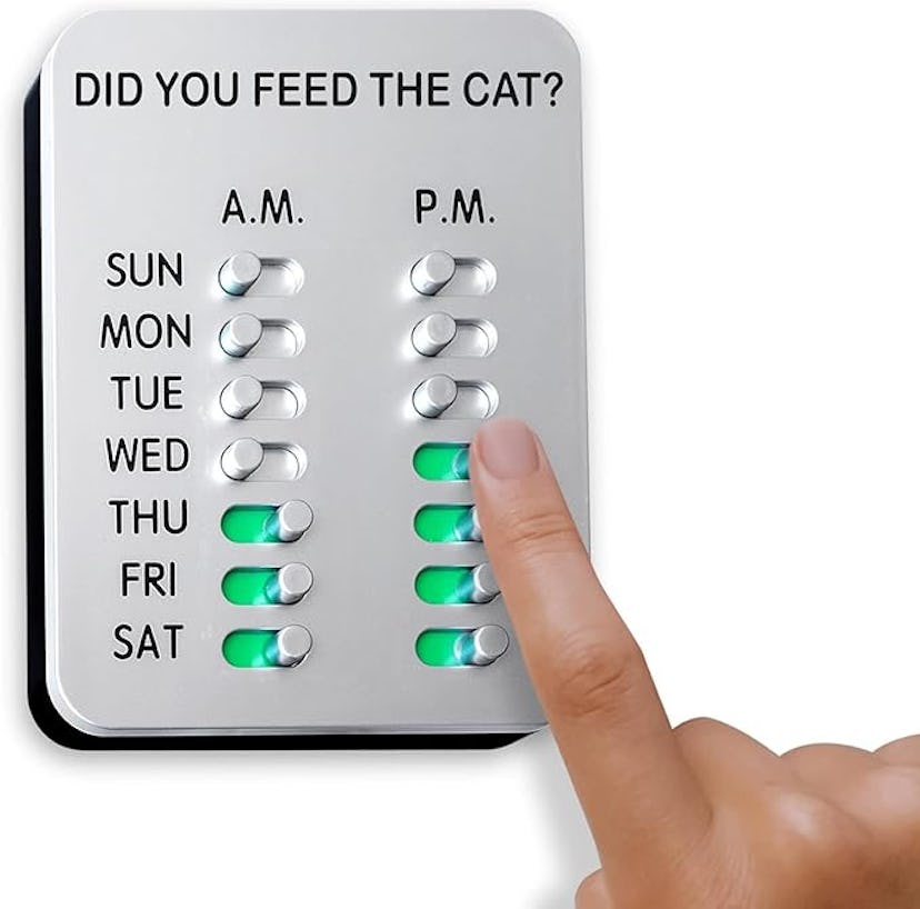 Did You Feed The Cat?