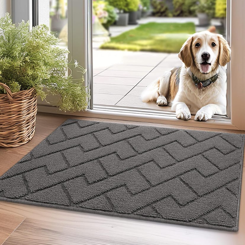 hicorfe Indoor Doormat