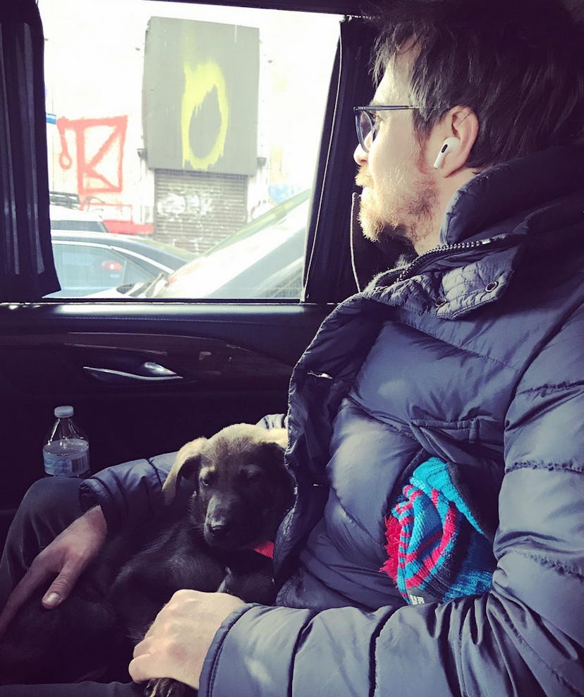 Sam Rockwell with his and Leslie Bibb’s dog, Gus. Screenshot via Instagram