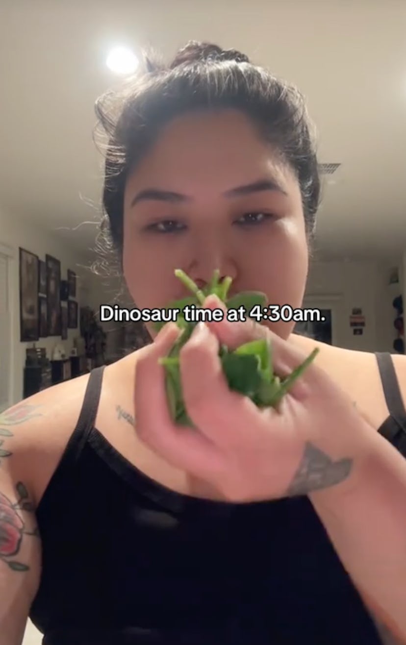 Everyone loves dinosaur time on TikTok.