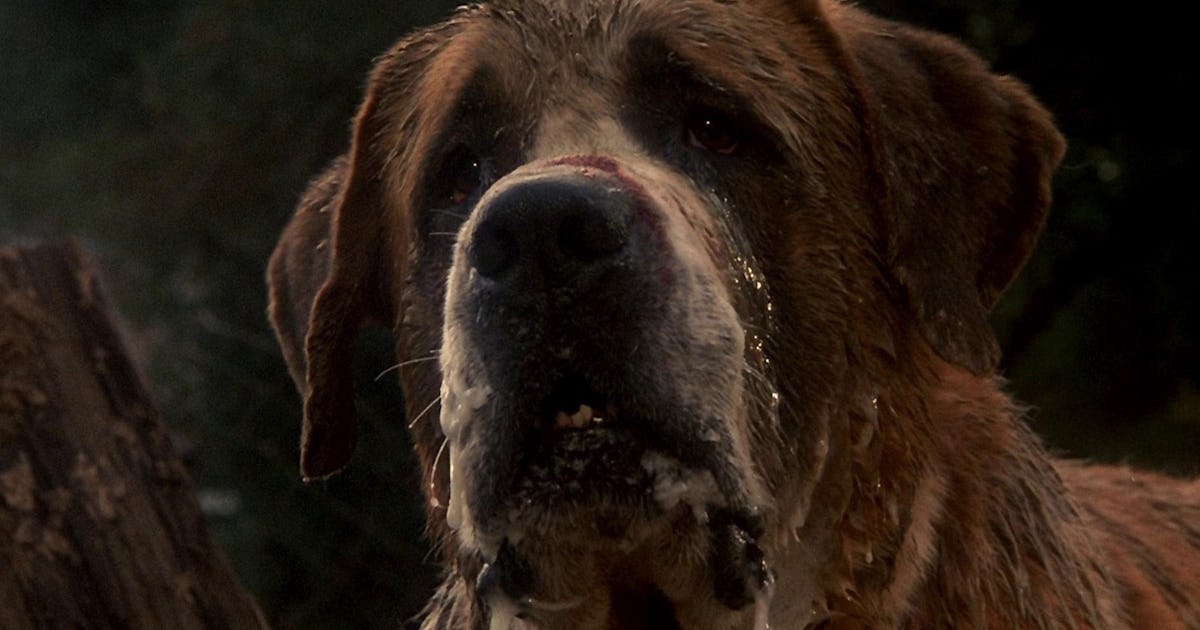 Netflix's Next Stephen King Remake Just Got A Surprising Director