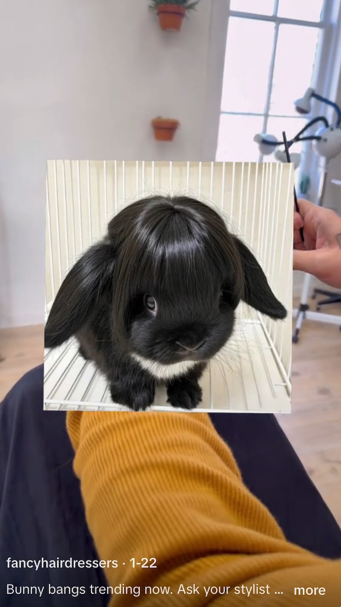 bunny bangs haircut