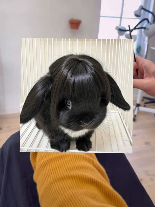 bunny bangs haircut
