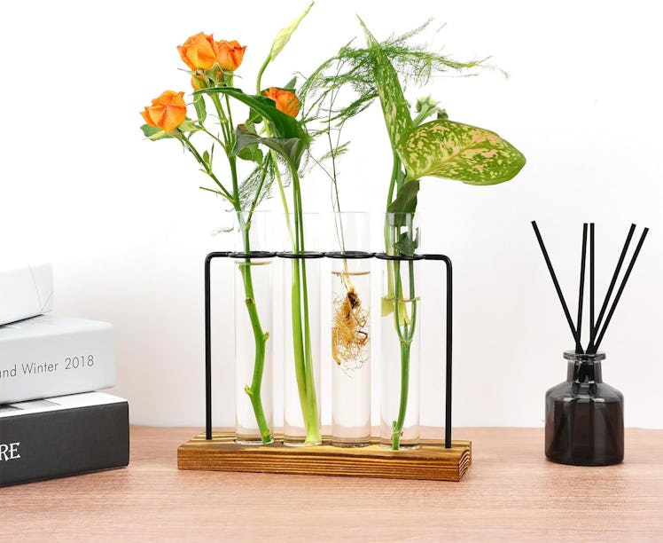 Pechaut Plant Propagation Station