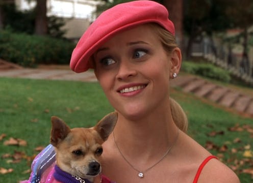 'Legally Blonde' Prequel: 'Elle' Cast & Characters