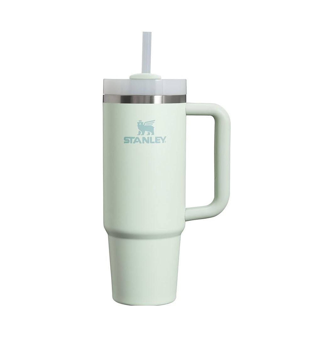 Stanley Quencher H2.0 Tumbler with Handle and Straw