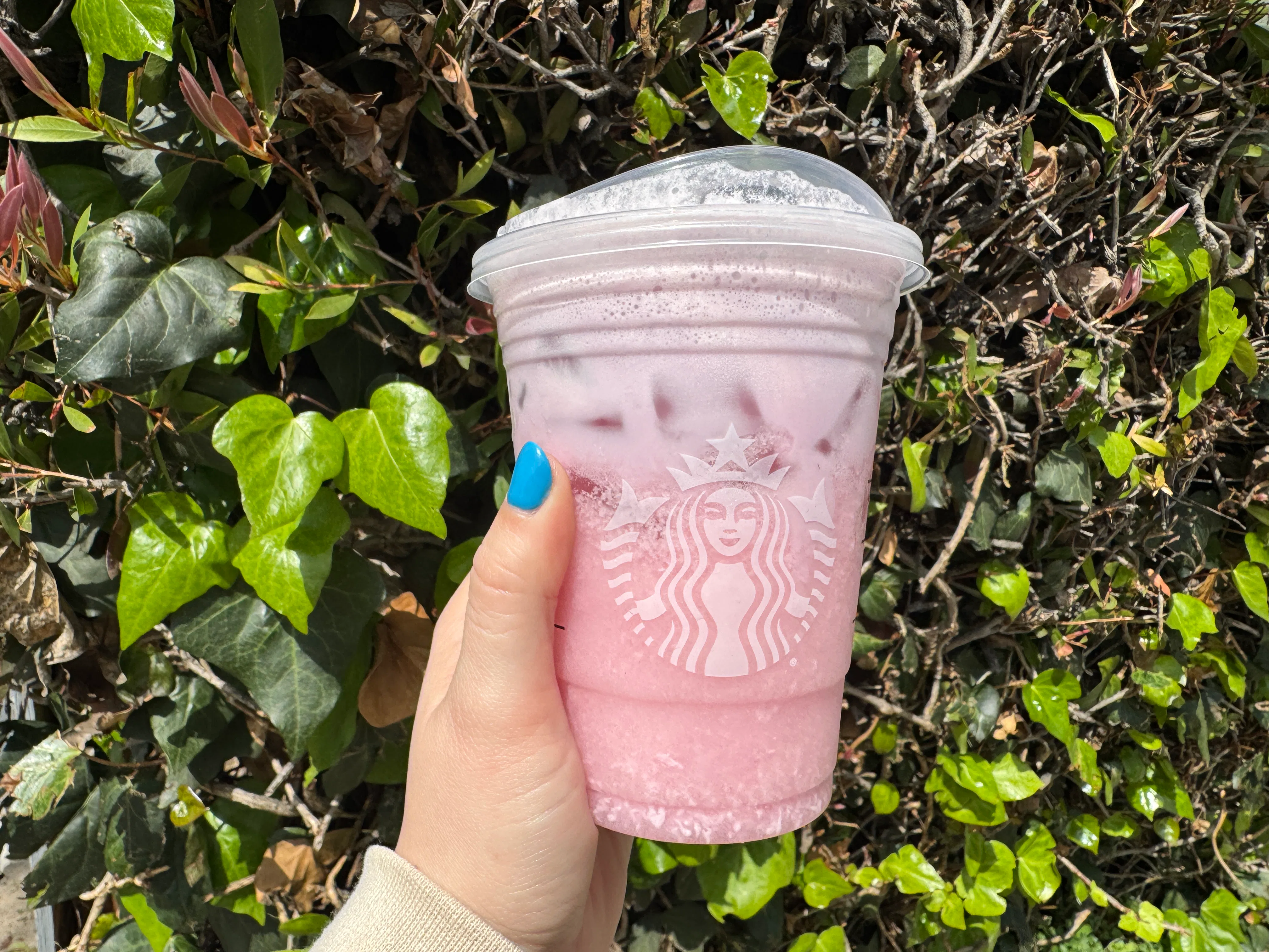I Tried Starbucks' Secret Pink Drink With Lavender Cold Foam