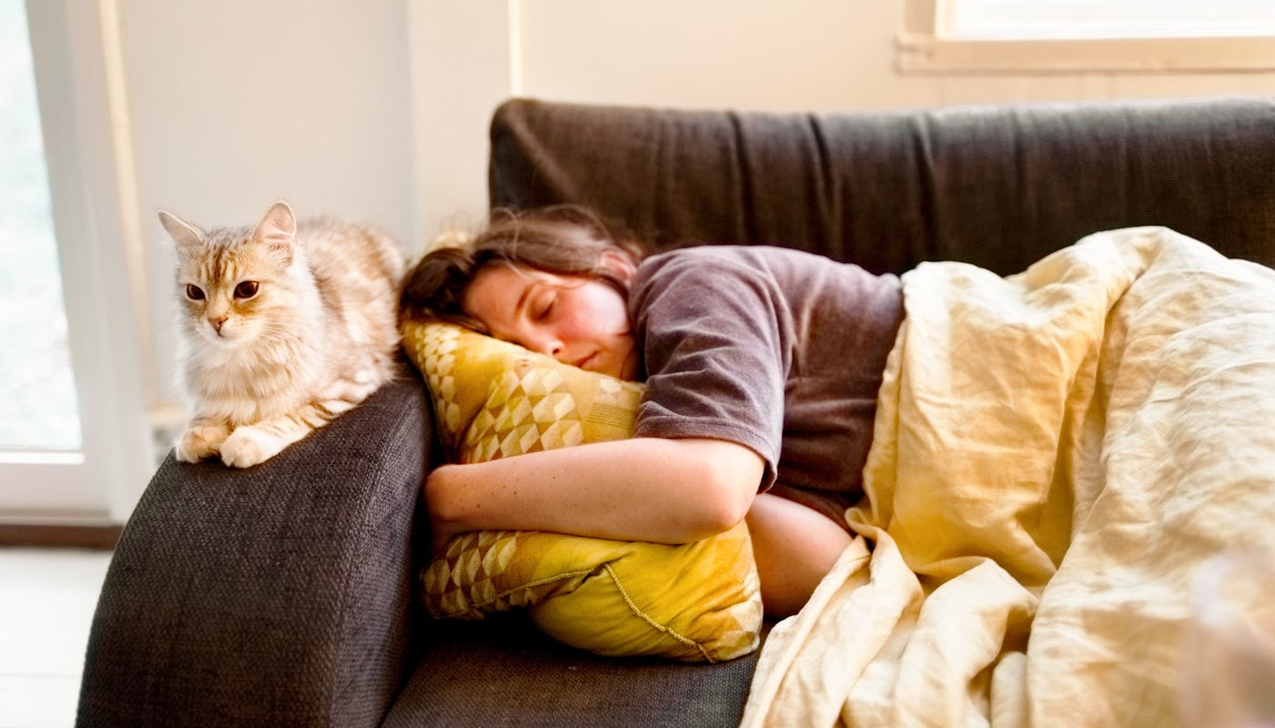 A person sleeps peacefully on a couch, with a cozy blanket, while a fluffy cat sits beside them, gazing calmly in a cozy indoor setting.