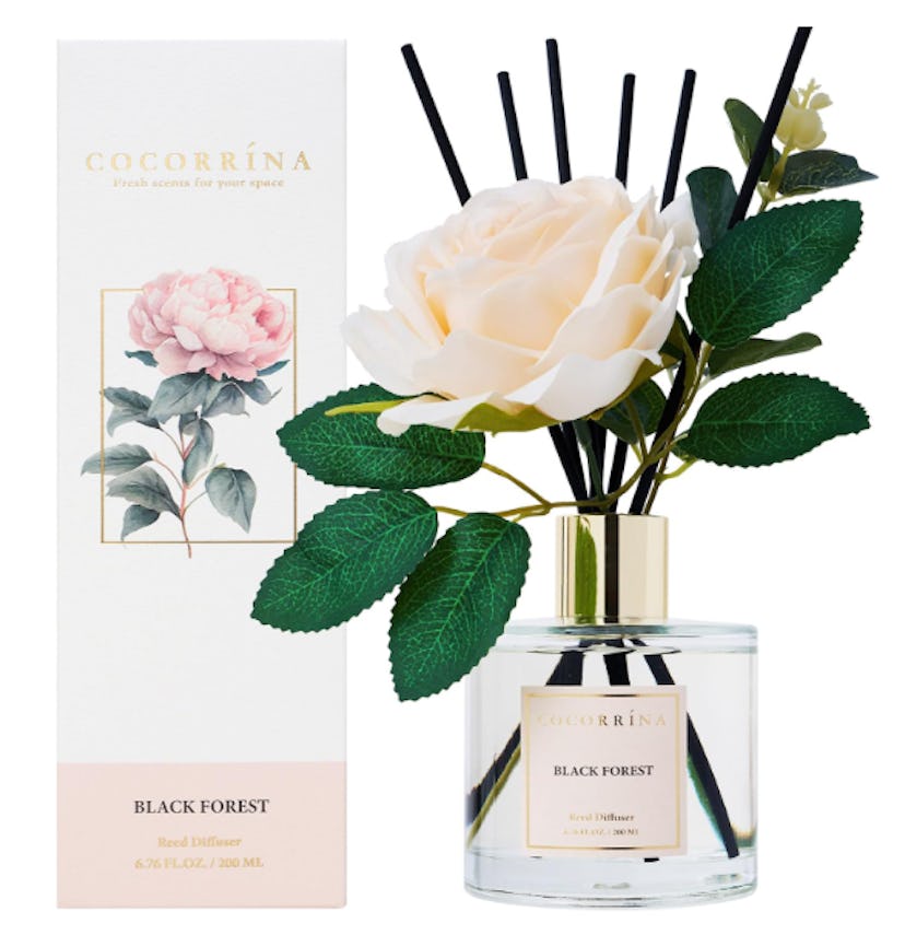 Cocorrina Reed Diffuser Set