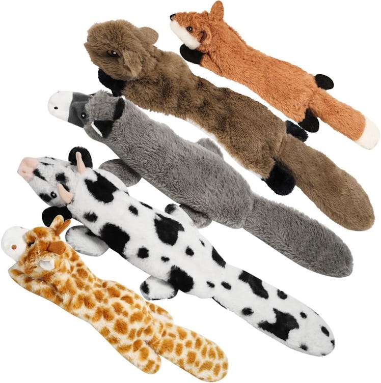 Nocciola Dog Squeaky Toys (5 Pieces) 