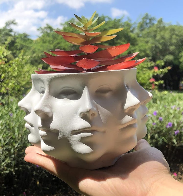 LuckyVin Face Planter