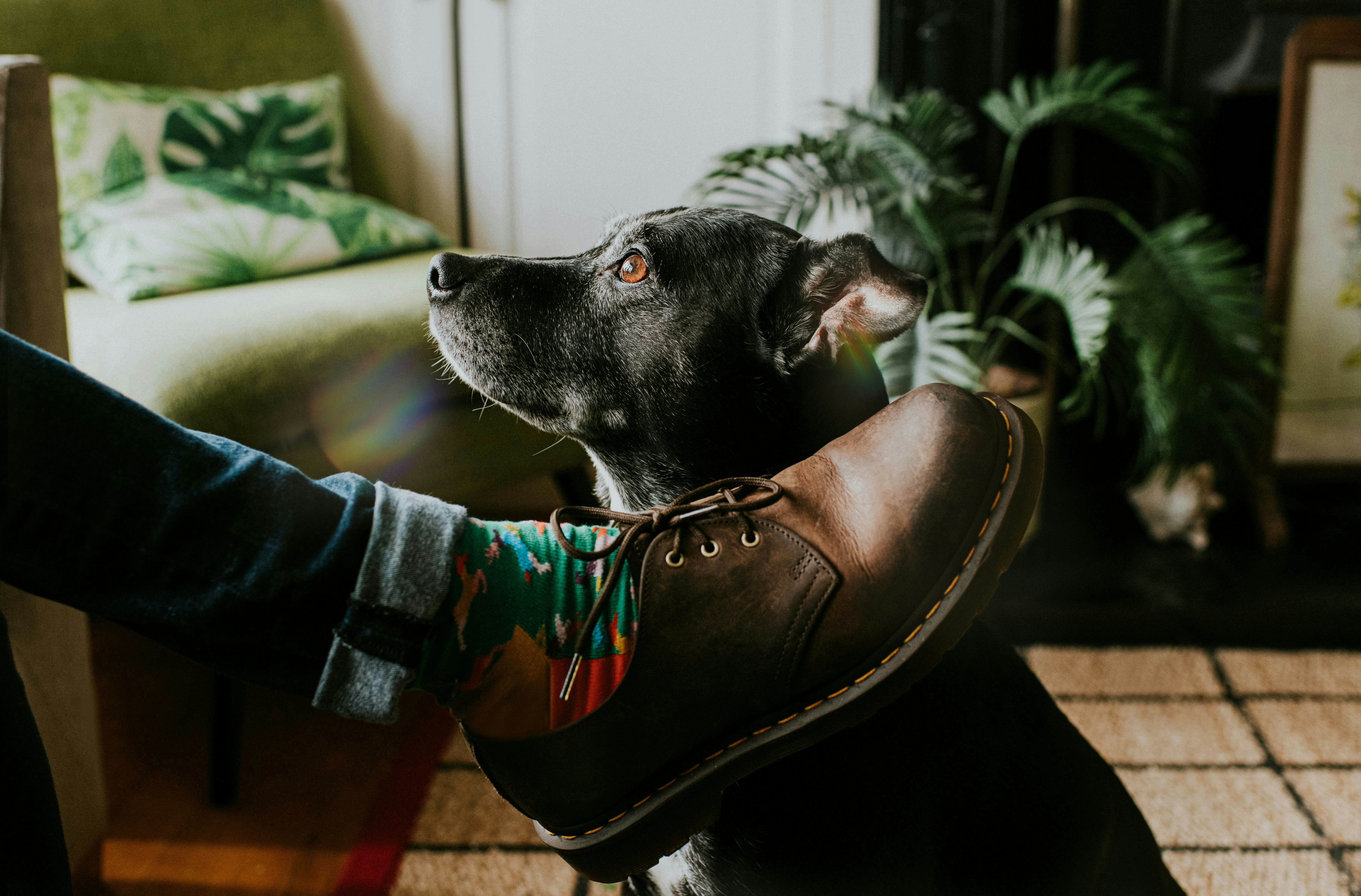 These are the best dad jokes.