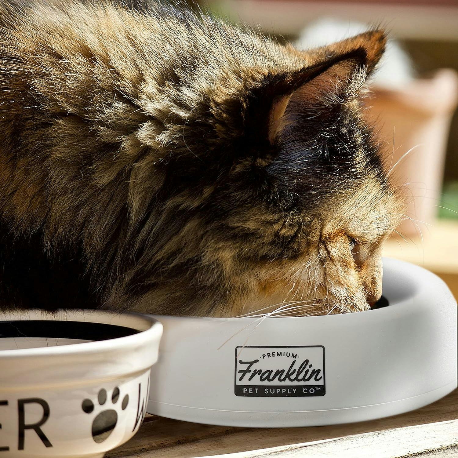 Franklin Spill-Proof Portable Pet Bowl