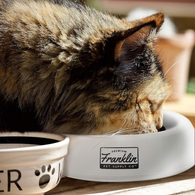 Franklin Spill-Proof Portable Pet Bowl