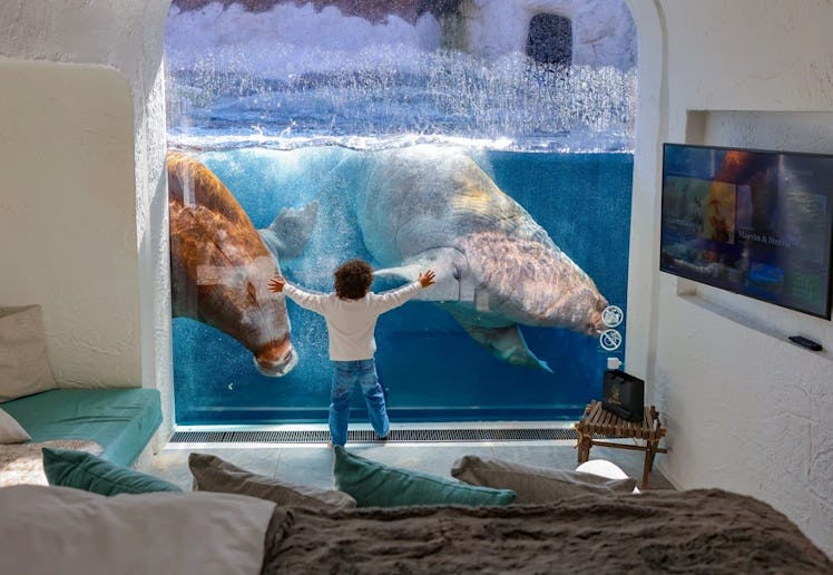 The Walrus House at Belgium's Pairi Daiza museum