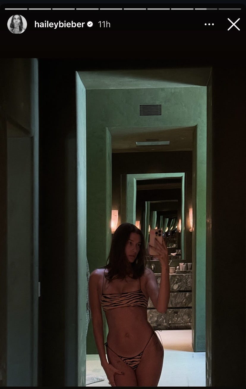 Hailey Bieber wears a tiger print string bikini set.