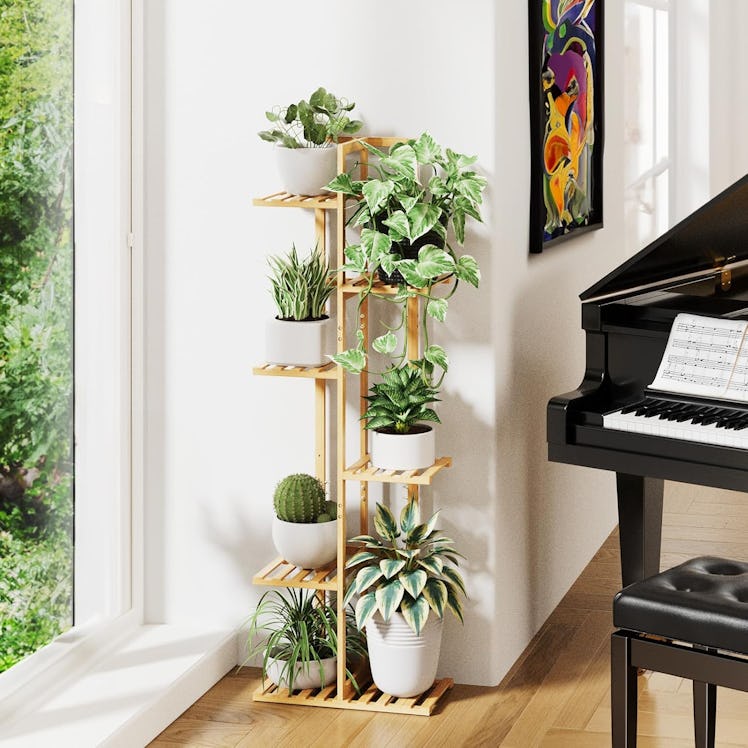 ROSSNY Indoor Plant Stand